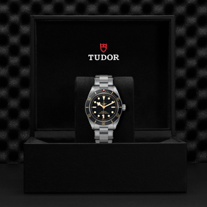 Tudor Black Bay 58