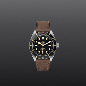 Tudor Black Bay 58