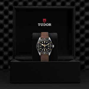 Tudor Black Bay 58