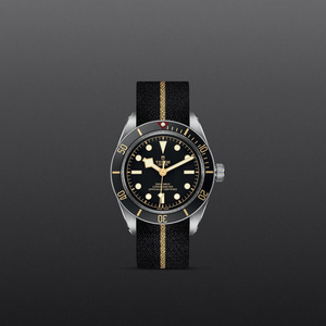 Tudor Black Bay 58