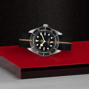 Tudor Black Bay 58