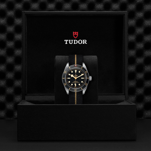 Tudor Black Bay 58