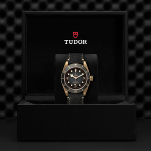 Tudor Black Bay Bronze