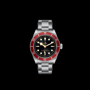 Tudor Black Bay