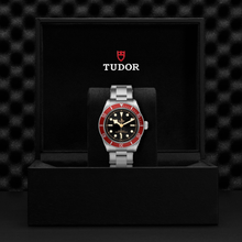 Tudor Black Bay