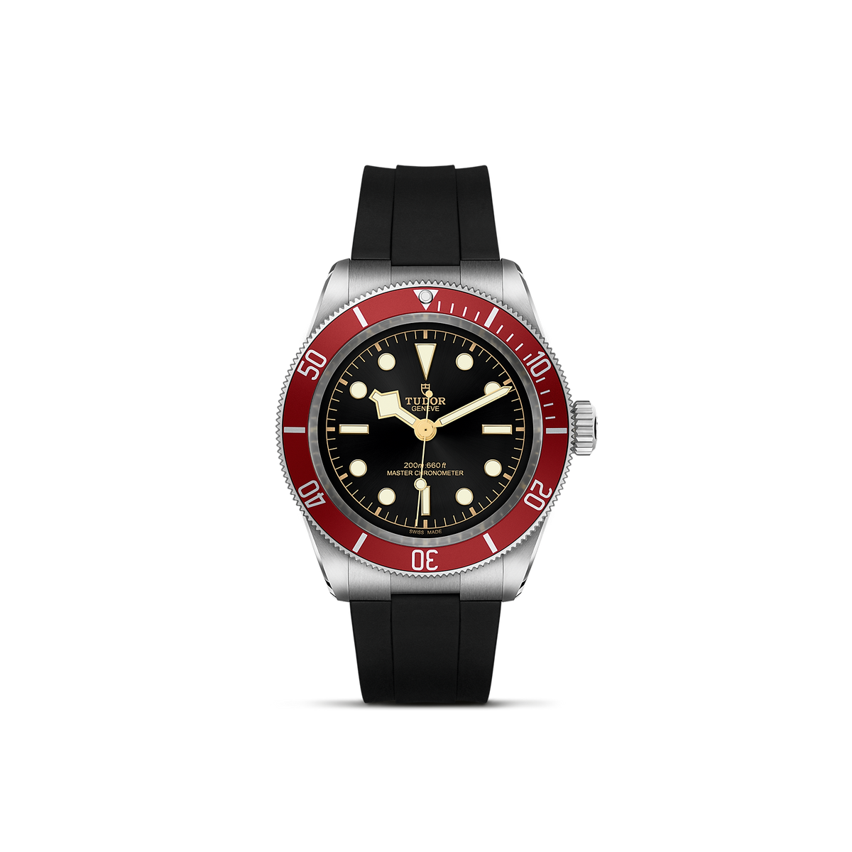 Tudor Black Bay