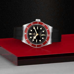 Tudor Black Bay