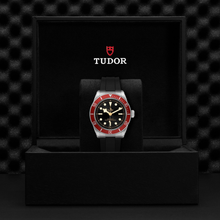 Tudor Black Bay