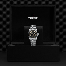 Tudor Black Bay 31