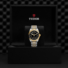 Tudor Black Bay 36 S&G