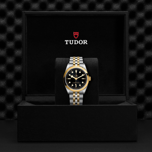 Tudor Black Bay 36 S&G