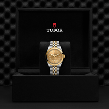 Tudor Black Bay 36 S&G