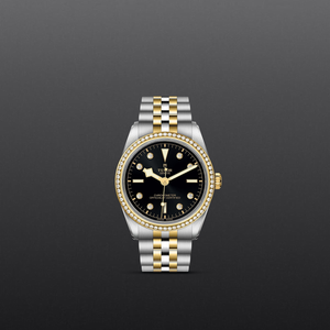 Tudor Black Bay 36 S&G