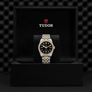 Tudor Black Bay 36 S&G