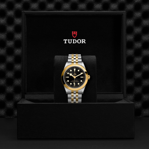 Tudor Black Bay 39 S&G