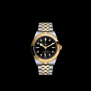 Tudor Black Bay 39 S&G