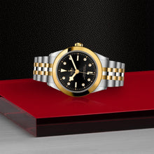 Tudor Black Bay 39 S&G