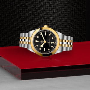 Tudor Black Bay 39 S&G