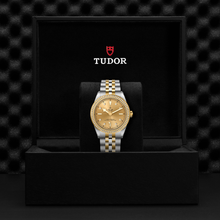 Tudor Black Bay 39 S&G