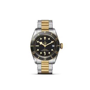 Tudor Black Bay S&G