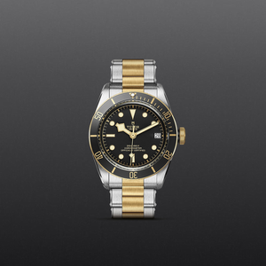 Tudor Black Bay S&G