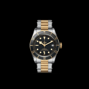 Tudor Black Bay S&G