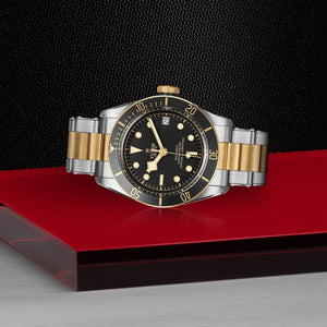 Tudor Black Bay S&G