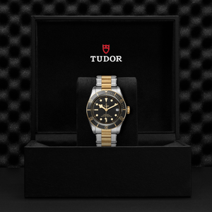 Tudor Black Bay S&G